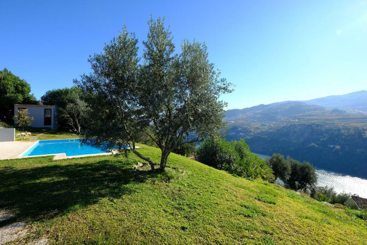 Villa Casas Do Casinhoto - Casa Com Vista Douro Baião Exterior foto